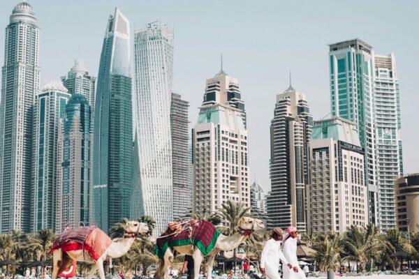 dubai camel fredrik-ohlander-fCW1hWq2nq0-unsplash